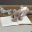 [COLTA] Animals Pencil Case (options)
