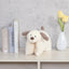 [COLTA] Animals Pillow Buddy (options)