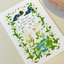 [NR16] Norudal Shop Wreath Confetti Removable Sticker Sheet (options)