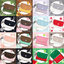 [CB26] NEW Cute Bus Card Wallets (options) - Cute Bus_CB26S1 - Honey Pudding_korean_sticker_stationery
