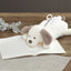 [COLTA] Animals Pencil Case (options) - Q - LIA_Dog_korean_sticker_stationery
