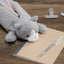 [COLTA] Animals Pencil Case (options) - Q - LIA_Dog_korean_sticker_stationery