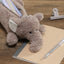 [COLTA] Animals Pencil Case (options) - Q - LIA_Elephant_korean_sticker_stationery