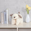 [COLTA] Animals Pillow Buddy (options) - Q - LIA_Dog_korean_sticker_stationery