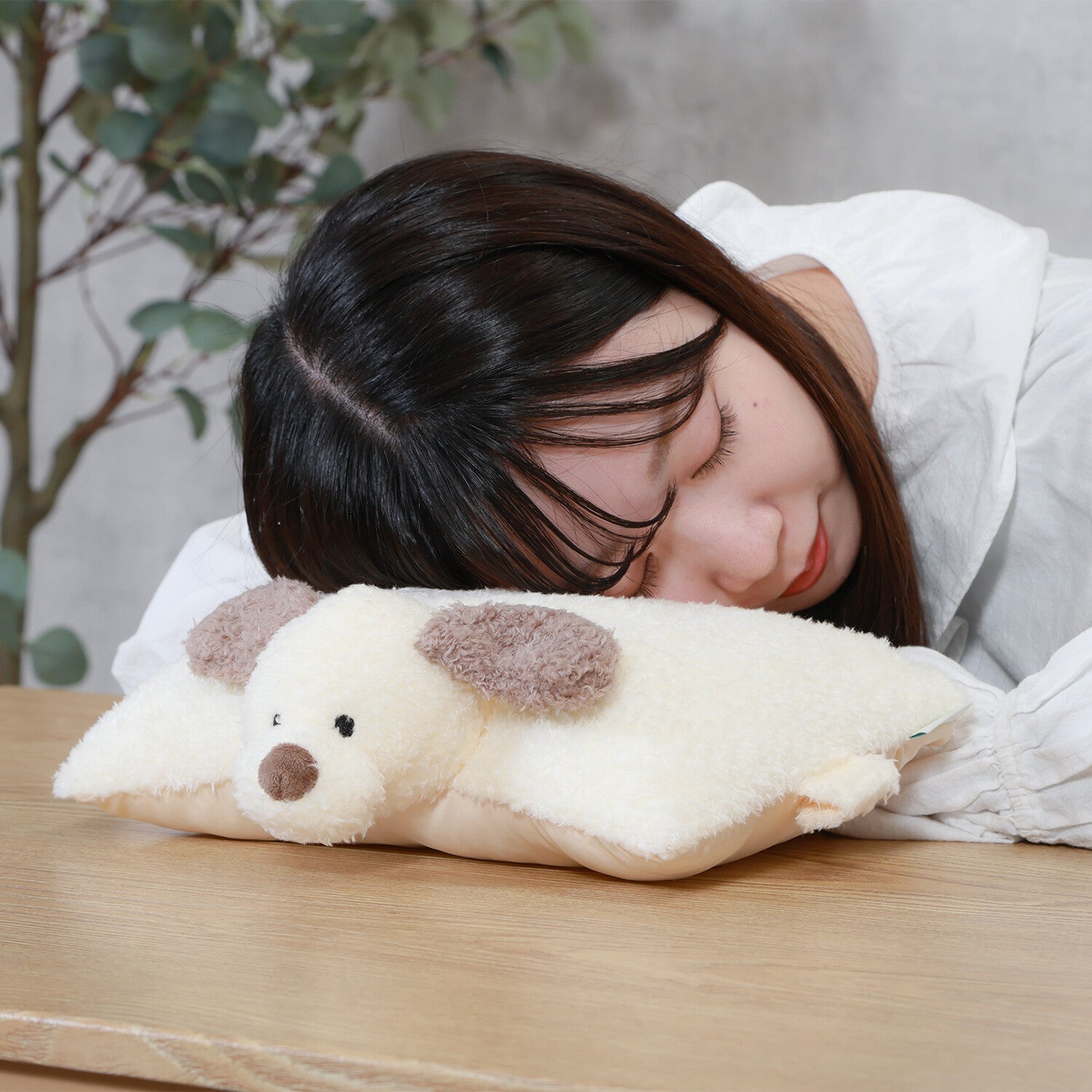 [COLTA] Animals Pillow Buddy (options) - Q - LIA_Dog_korean_sticker_stationery
