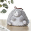 [COLTA] Animals Pouch (options) - Q - LIA_Cat_korean_sticker_stationery