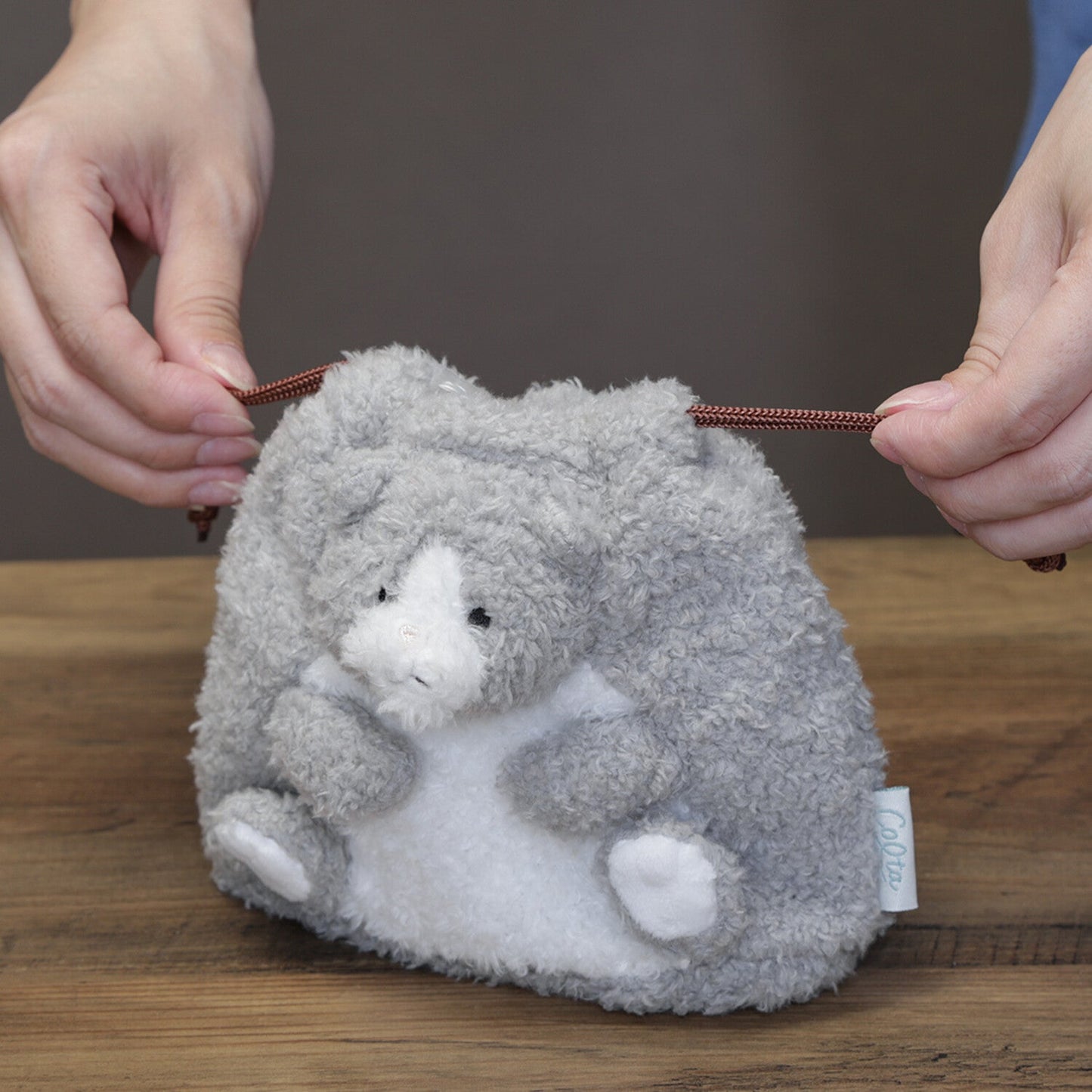 [COLTA] Animals Pouch (options) - Q - LIA_Cat_korean_sticker_stationery
