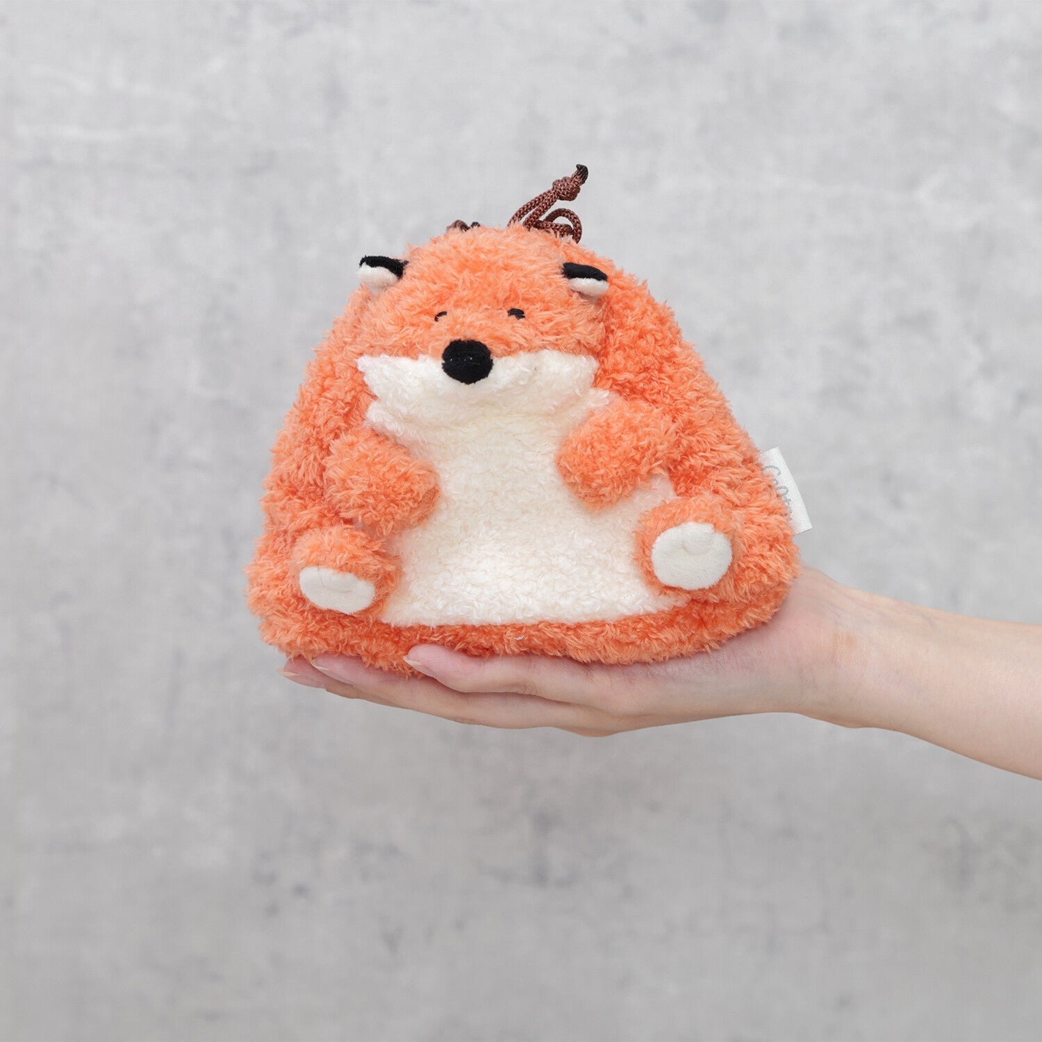 [COLTA] Animals Pouch (options) - Q - LIA_Fox_korean_sticker_stationery