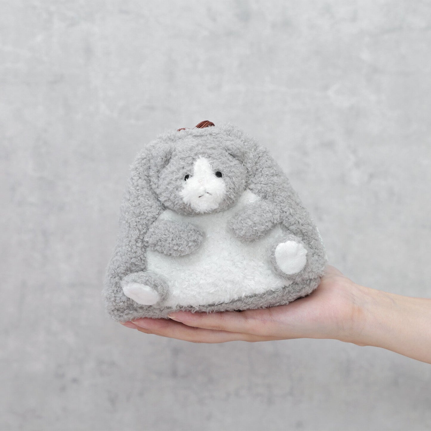 [COLTA] Animals Pouch (options) - Q - LIA_Cat_korean_sticker_stationery
