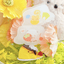 [CW54] Cotton World Acrylic Clip (options) - Cotton World_CW54S2 - Fruit Pudding_korean_sticker_stationery
