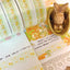 [DD34] Dear Dolly 'Whisper of the Spring' Sticker All - in - One Pack (Pack/Singles) - Dear Dolly_DD34S5 - Sweet Whisper of Spring Breeze_korean_sticker_stationery