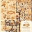 [DD53] Dear Dolly 'Harvest Season' Sticker Pack (Pack/Singles) - Dear Dolly_DD53 - Pack_korean_sticker_stationery