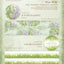[DD71] NEW Dear Dolly 'The Tender Verdant Season' Masking Tapes (options) -Dear Dolly_DD71S1 - Lavender Reverie_korean_sticker_stationery