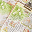 [DD72] NEW Dear Dolly 'The Tender Verdant Season' Memo Sticker Set -Dear Dolly__korean_sticker_stationery