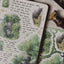 [DD74] NEW Dear Dolly 'Prelude to Summer' Sticker Pack (Singles/Pack) -Dear Dolly_DD74S4 - Green Rain and Black Kitten_korean_sticker_stationery