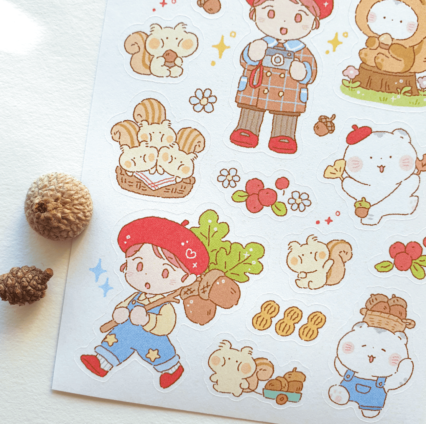 [JJ16] Jeje 'Acorn Explorer' Sticker Sheet - Jeje__korean_sticker_stationery