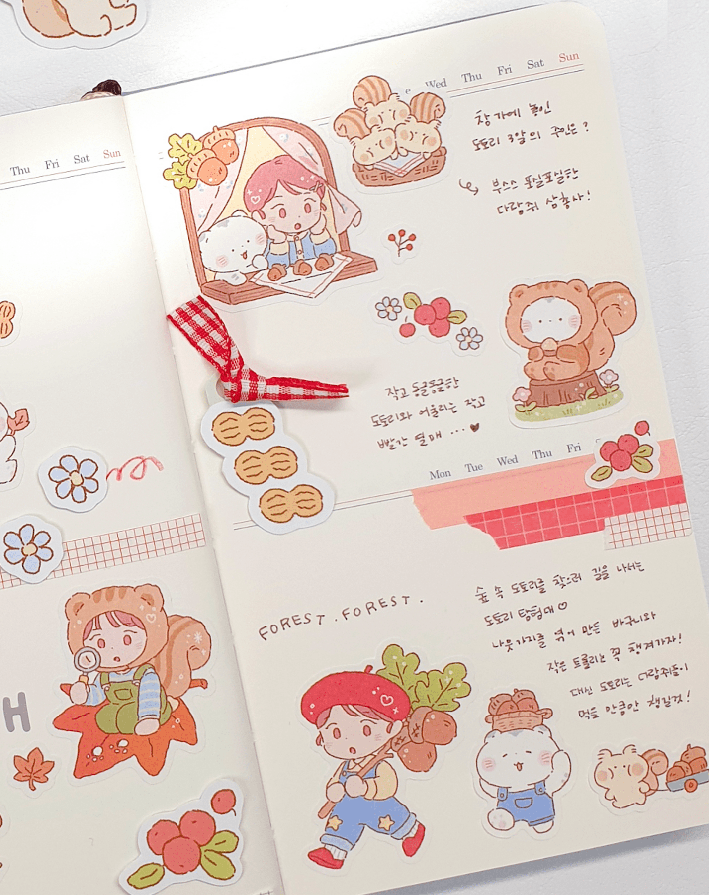 [JJ16] Jeje 'Acorn Explorer' Sticker Sheet - Jeje__korean_sticker_stationery