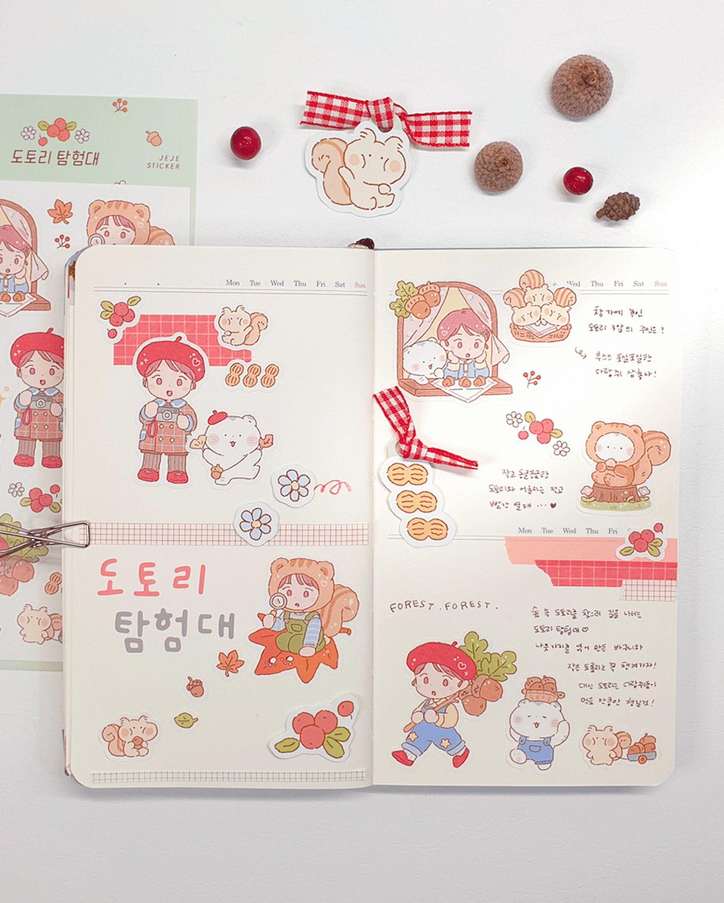 [JJ16] Jeje 'Acorn Explorer' Sticker Sheet - Jeje__korean_sticker_stationery