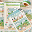 [MZ17] NEW Mummuz 'Cosmos Road' Sticker Sheet - Mummuz__korean_sticker_stationery