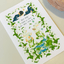 [NR16] Norudal Shop Wreath Confetti Removable Sticker Sheet (options) - Norudal Shop_NR16S4 - Lily of the Valley (White)_korean_sticker_stationery