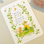 [NR16] Norudal Shop Wreath Confetti Removable Sticker Sheet (options) - Norudal Shop_NR16S1 - White Daisy_korean_sticker_stationery