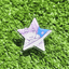 [PN15] Parknyam Collecting the Stars Acrylic Clip (options) - Parknyam_PN14S1 - Inside the Star_korean_sticker_stationery