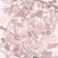 [SK46] NEW Seolkee 'Deer Cookie Girl' Sticker Sheet - Seolkee__korean_sticker_stationery